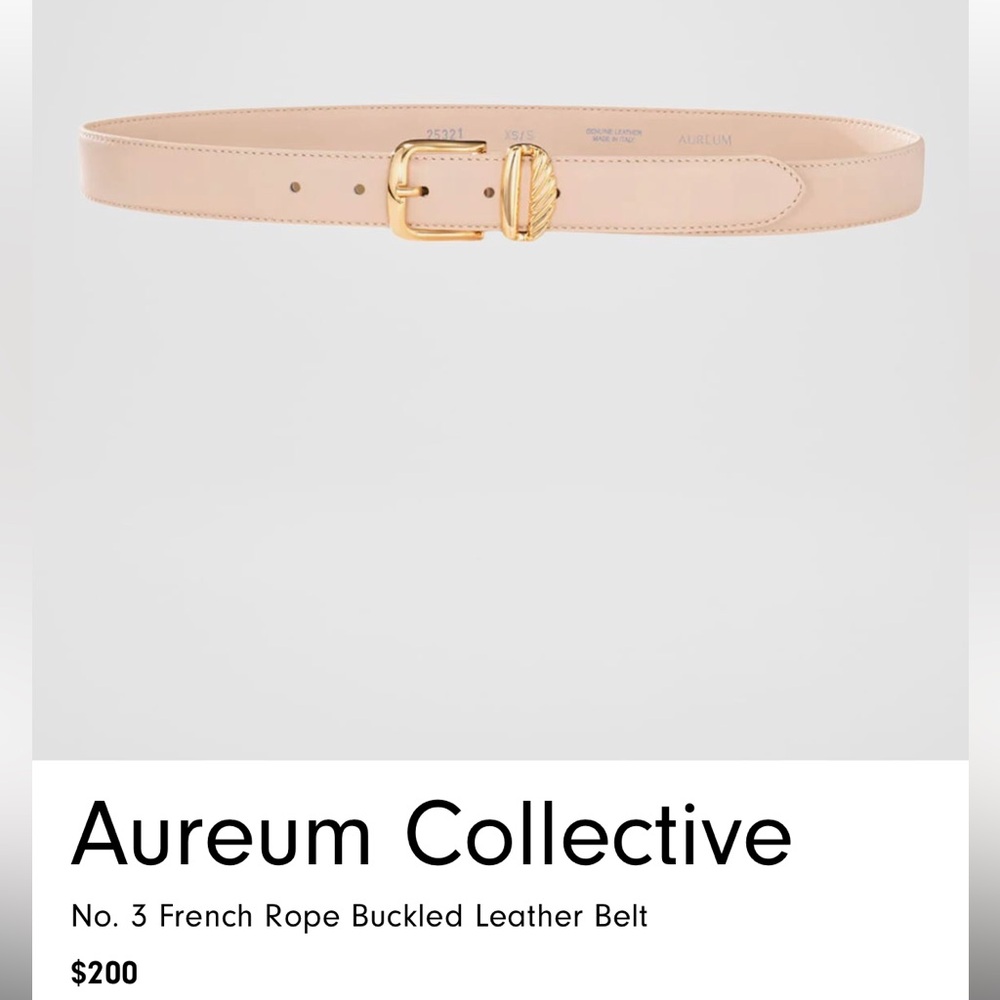 Aureum Collective No. 3 belt in champagne and gold size XS